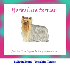 Bulletin board art of a Yorkshire Terrier dog.  Art from the children’s counting book, Ten Little Puppies, illustrated by Jim Harris.